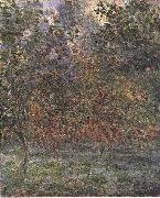 Claude Monet The Lemon Grove in Bordighera Sweden oil painting artist